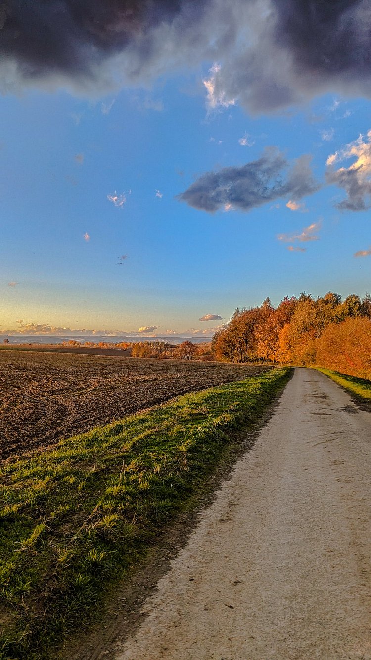 Podzimní Polňačka