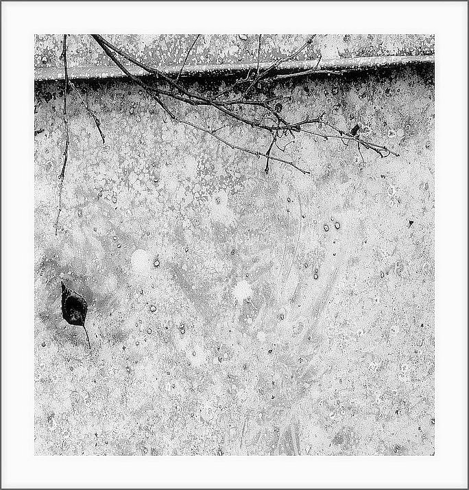 opustíš-li mě, nezahynu