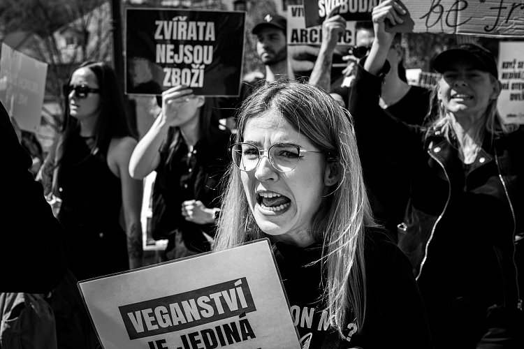 Demonstrantka