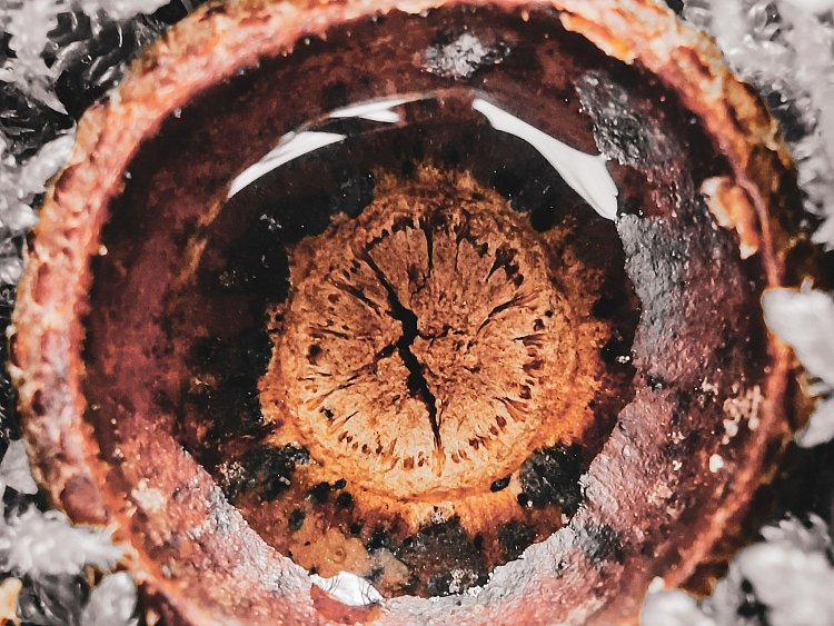 Dragon eye