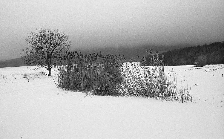 Krajina posedlá tmou...