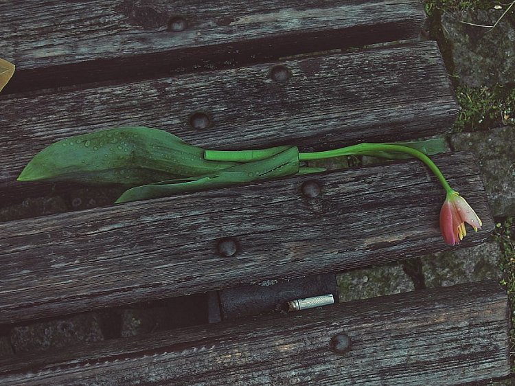 každej nechá jinou stopu na světě