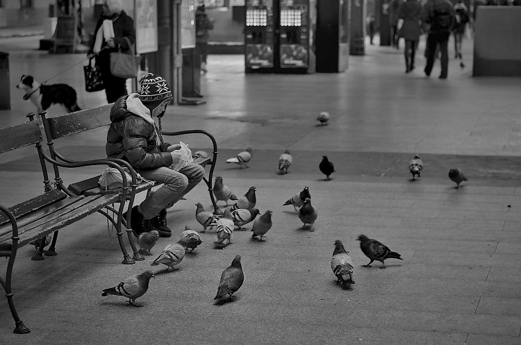 Se doma zase hádaj.....