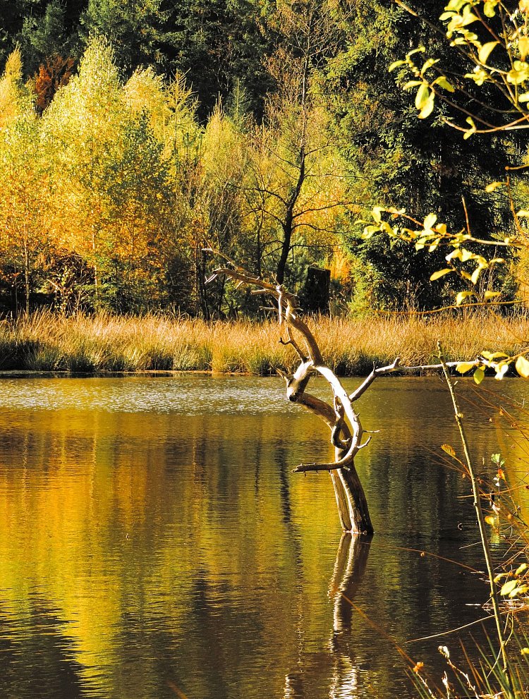 Když ticho promlouvá