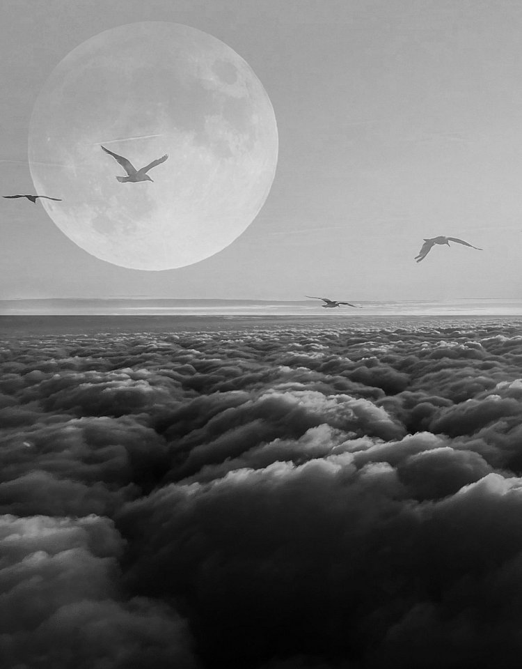 Svoboda