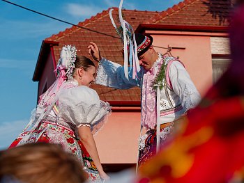 Šardické hody