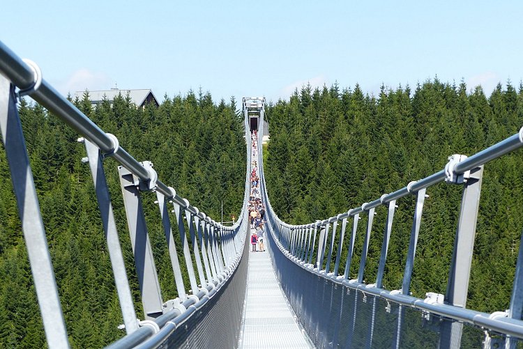 Sky Bridge 721