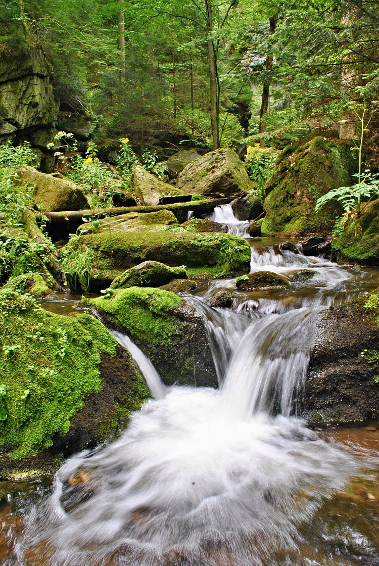 Rešovské vodopády