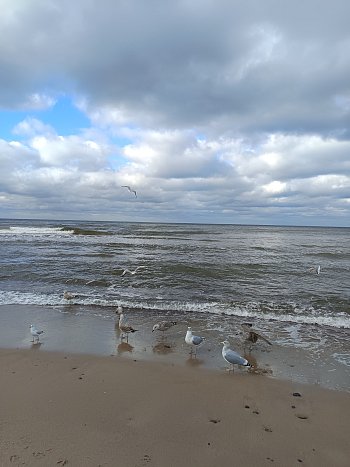 Moře